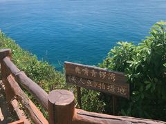 -杨梅坑