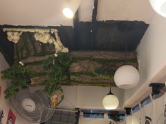 -天妇罗内顺田(罗湖店)