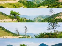 -大姆山草场