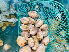 辣炒海三鲜-聚德福海鲜家常菜(刘庄店)