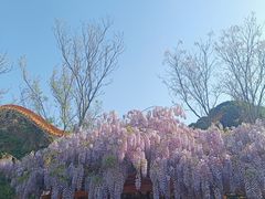 -白塔山公园