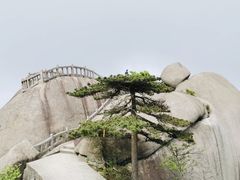 -天柱山风景区