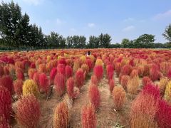 -汉长安城未央宫国家考古遗址公园