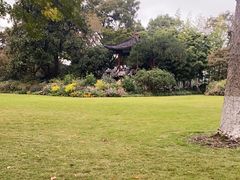 -西湖外事游船(花港观鱼码头)