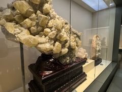 -安徽省地质博物馆