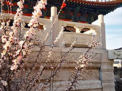 -鸡鸣山旅游风景区