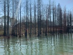 -苏州太湖国家湿地公园