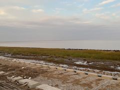 -南汇新城海滩