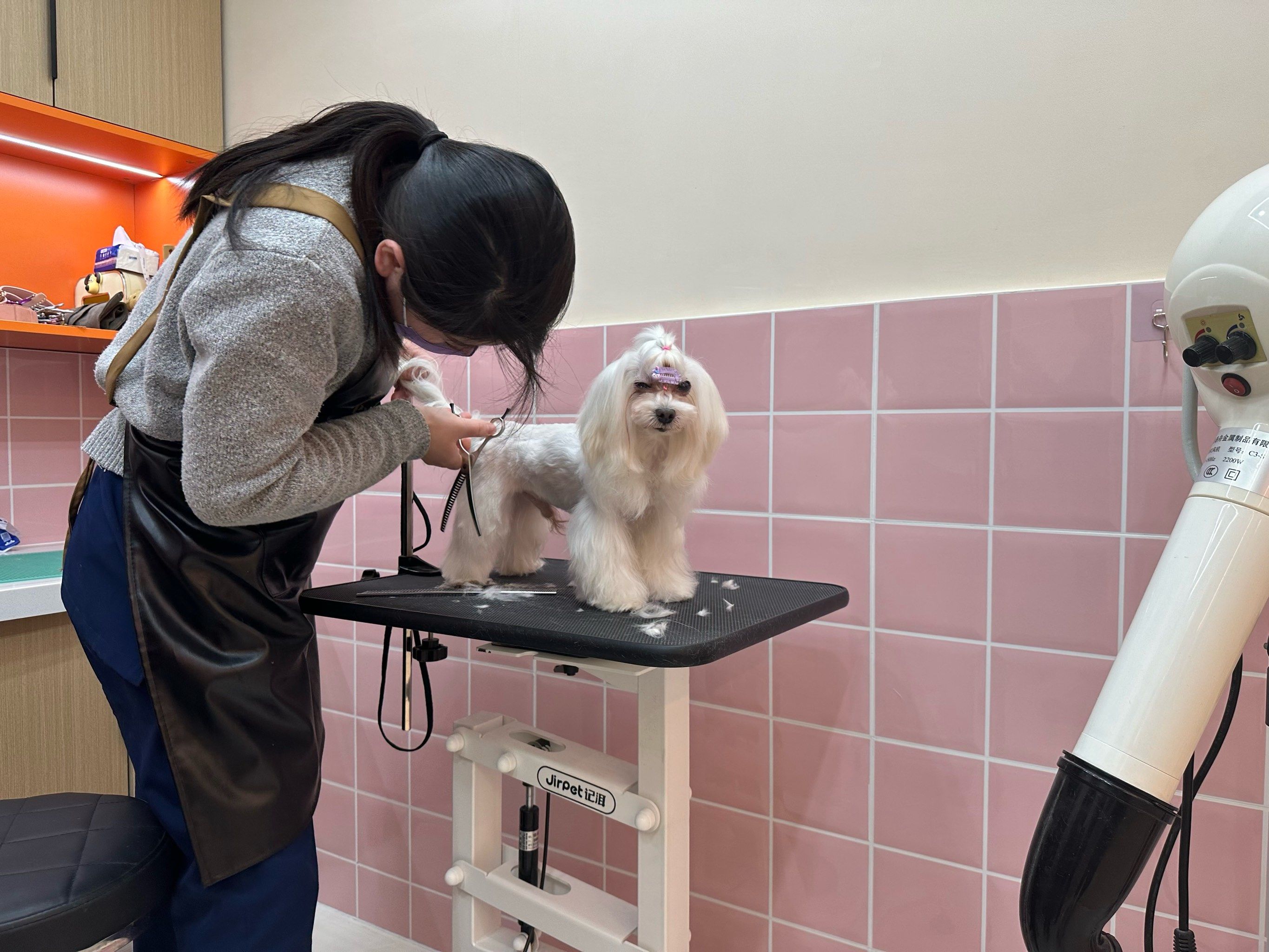 替宠物超度的简单介绍