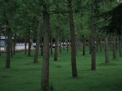 -禹州森林植物园