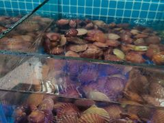 -海韵之星邮轮水会(明发商业广场店)
