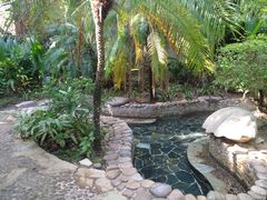 -三亚珠江南田温泉度假区