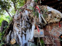 -黄龙溪古镇-古龙寺