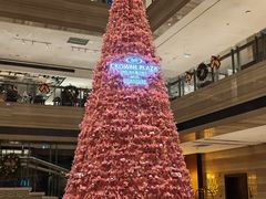 -合肥皇冠假日酒店·菲亚斯特自助餐厅(黄山路店)