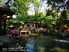 -白家大院·王府宫廷菜(苏州街店)