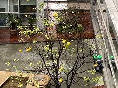 -杭州市萧山图书馆