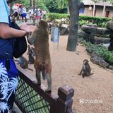 猴岛，万宁市陵水黎族自治县