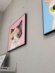 -洗脸猫·洗脸吧