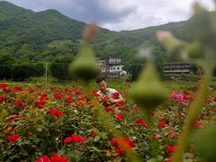 -镇坪县曙坪小学