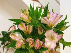 -森野花艺培训·企业团建活动沙龙