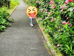 -自然谷恐龙园
