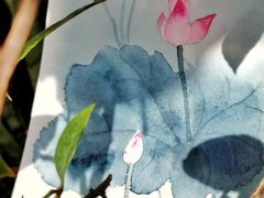 -中央广播电视总台(光华路办公区)