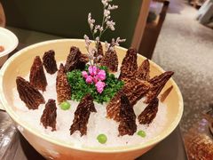 -季季山·云南野生菌火锅(上海首店)