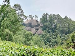 -火炉山森林公园