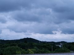 -上海佘山世茂艾美酒店