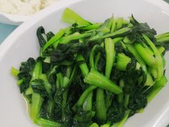青菜-状元楼(金溪路店)