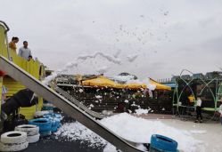 -小蜜蜂农场(凯德七宝购物广场店)
