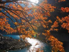 -叠溪松坪沟景区