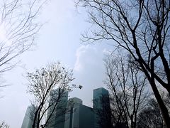 -重庆市江北嘴中央商务区中央公园