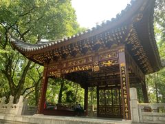 -汇龙潭