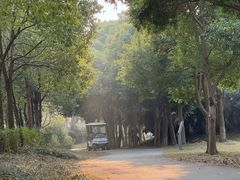 -白鹭湾湿地公园