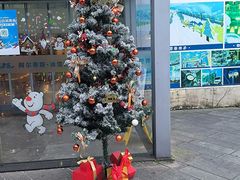 -世界之窗阿尔卑斯冰雪世界