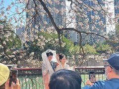 -成都市活水公园