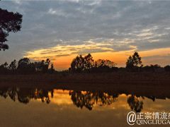 -大湾区中央湿地公园
