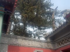 -妙峰山风景名胜区