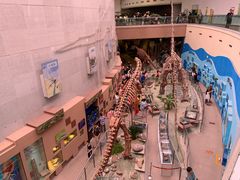 -陕西自然博物馆