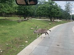 -西安秦岭野生动物园