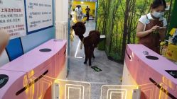 点击看大图 -神奇动物撸宠馆·羊驼·小浣熊·异宠(豫园店)