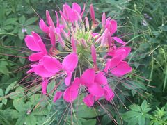 -长春公园(普阳街道)