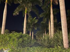 -三亚太阳湾柏悦酒店