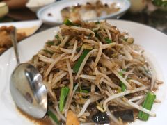 有机黄豆芽-纪林菜馆·博山菜老字号(华光路店)