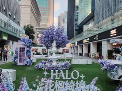 -HALO广场(梨园路店)