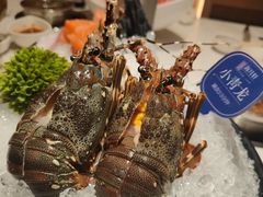-海月轩海鲜豆捞(紫金塔店)