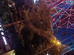 -星城之眼摩天轮