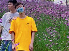 -石井坡(地铁站)