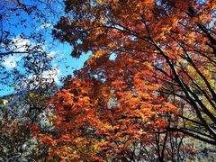 -叠溪松坪沟景区